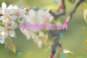 小型松狮犬怎么养