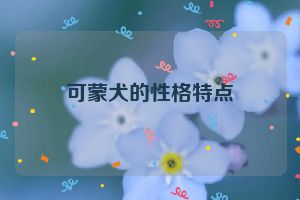 可蒙犬的性格特点