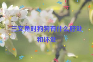 三文鱼对狗狗有什么好处和坏处
