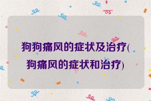 狗狗痛风的症状及治疗(狗痛风的症状和治疗)