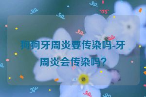 狗狗牙周炎要传染吗-牙周炎会传染吗？