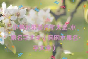 小狗水果类名字大全-水果名字大全（狗的水果名字大全）