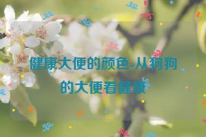 健康大便的颜色-从狗狗的大便看健康