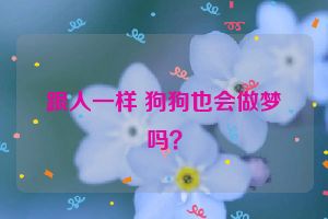 跟人一样 狗狗也会做梦吗？