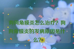 狗狗角膜炎怎么治疗？狗狗角膜炎的发病原因是什么？