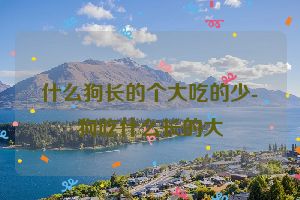什么狗长的个大吃的少-狗吃什么长的大