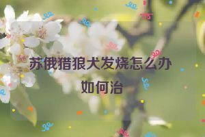 苏俄猎狼犬发烧怎么办 如何治