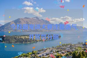 今日萌宠训犬要注意语气并赏罚分明
