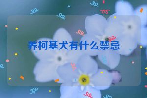 养柯基犬有什么禁忌