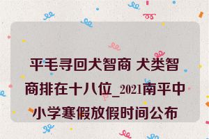 平毛寻回犬智商 犬类智商排在十八位_2021南平中小学寒假放假时间公布