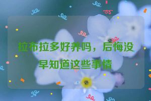 拉布拉多好养吗，后悔没早知道这些事情