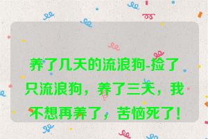 养了几天的流浪狗-捡了只流浪狗，养了三天，我不想再养了，苦恼死了！