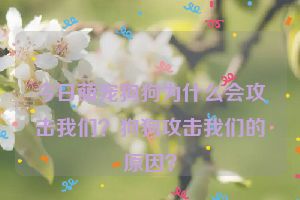 今日萌宠狗狗为什么会攻击我们？狗狗攻击我们的原因？