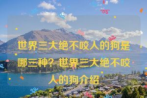 世界三大绝不咬人的狗是哪三种?世界三大绝不咬人的狗介绍