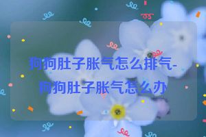 狗狗肚子胀气怎么排气-狗狗肚子胀气怎么办