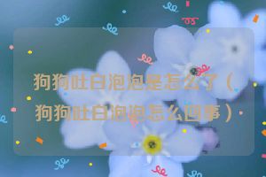 狗狗吐白泡泡是怎么了（狗狗吐白泡泡怎么回事）