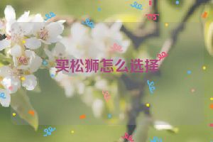 买松狮怎么选择