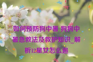 如何预防狗中暑 狗狗中暑急救法及救护知识_解析12星女怎么追