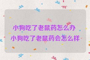 小狗吃了老鼠药怎么办 小狗吃了老鼠药会怎么样