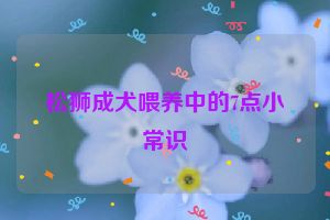 松狮成犬喂养中的7点小常识