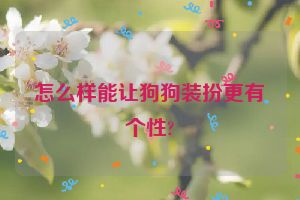 怎么样能让狗狗装扮更有个性?