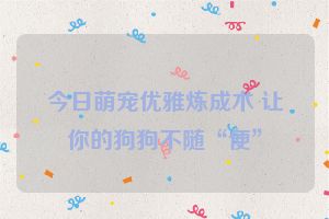 今日萌宠优雅炼成术 让你的狗狗不随“便”
