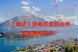 【测试】你是否真的会判断狗粮的好坏？