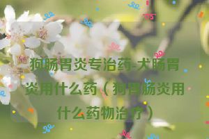 狗肠胃炎专治药-犬肠胃炎用什么药（狗胃肠炎用什么药物治疗）