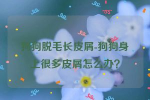 狗狗脱毛长皮屑-狗狗身上很多皮屑怎么办？