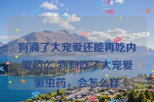 狗滴了大宠爱还能再吃内驱药么-狗狗吃了大宠爱驱虫药，会怎么样