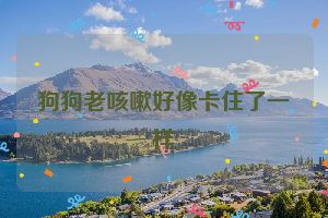 狗狗老咳嗽好像卡住了一样