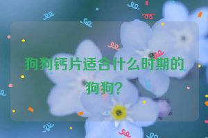 狗狗钙片适合什么时期的狗狗？