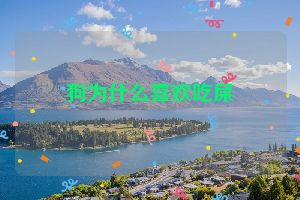 狗为什么喜欢吃屎