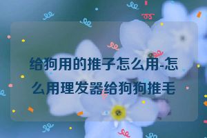 给狗用的推子怎么用-怎么用理发器给狗狗推毛