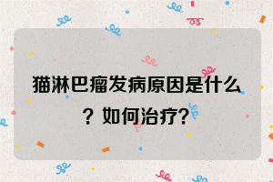 猫淋巴瘤发病原因是什么？如何治疗？