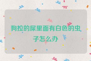 狗拉的屎里面有白色的虫子怎么办