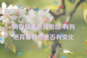 狗狗做完绝育很凶-狗狗绝育后性格是否有变化