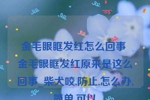 金毛眼眶发红怎么回事 金毛眼眶发红原来是这么回事_柴犬咬,防止,怎么办,简单,可以