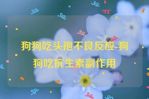 狗狗吃头孢不良反应-狗狗吃抗生素副作用