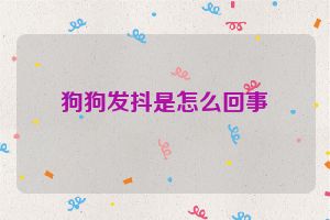 狗狗发抖是怎么回事
