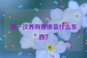 第一次养狗要准备什么东西？