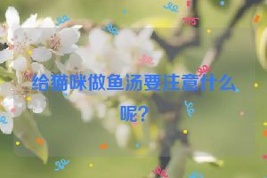 给猫咪做鱼汤要注意什么呢？