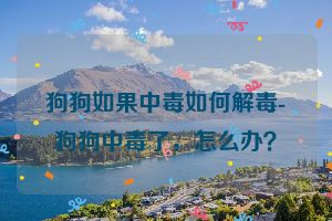 狗狗如果中毒如何解毒-狗狗中毒了，怎么办？