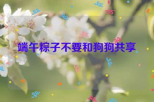 端午粽子不要和狗狗共享