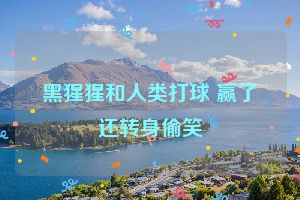 黑猩猩和人类打球 赢了还转身偷笑