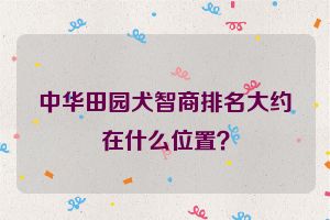 中华田园犬智商排名大约在什么位置？