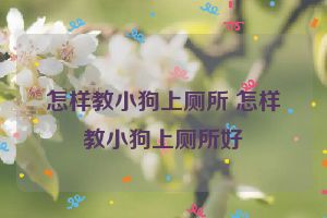 怎样教小狗上厕所 怎样教小狗上厕所好