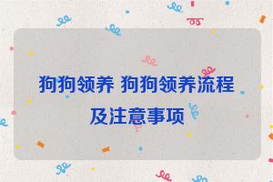 狗狗领养 狗狗领养流程及注意事项