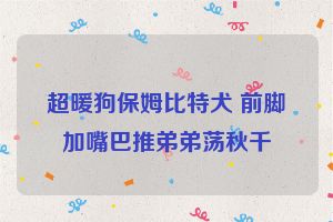 超暖狗保姆比特犬 前脚加嘴巴推弟弟荡秋千