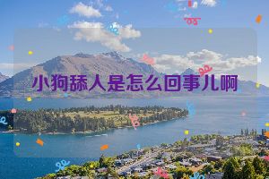 小狗舔人是怎么回事儿啊